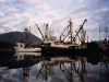 Fishboats at dock-600.jpg